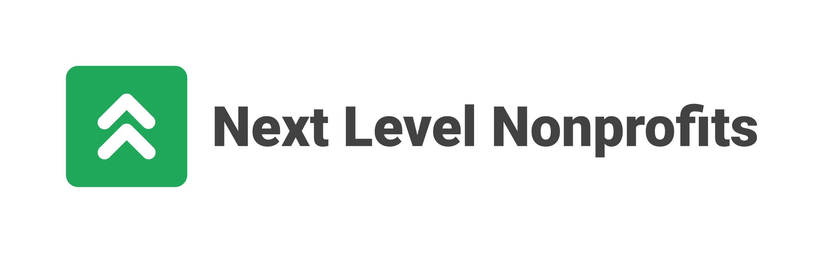 Next Level Program Logo Next Level Nonprofits - Consulting for New Nonprofit Leaders